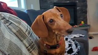 One Night Stands the CASUAL SEX GUIDE with Roxy Fox porn video